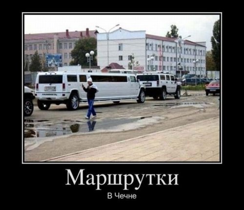 Пятничные демотиваторы