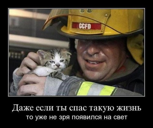 Пятничные демотиваторы
