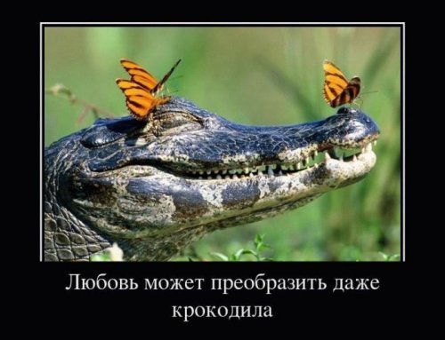Пятничные демотиваторы
