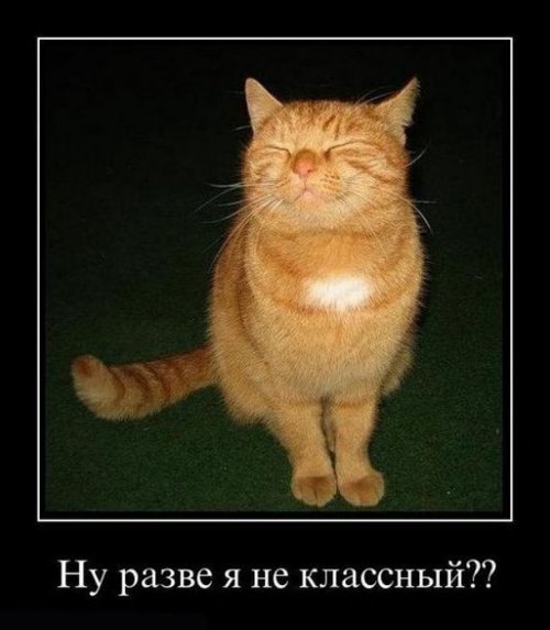 Пятничные демотиваторы