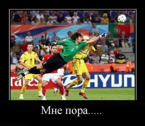 Пятничные демотиваторы