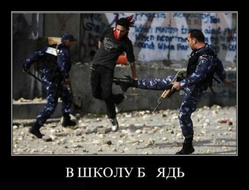 Пятничные демотиваторы