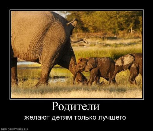 Демотиваторы про детей