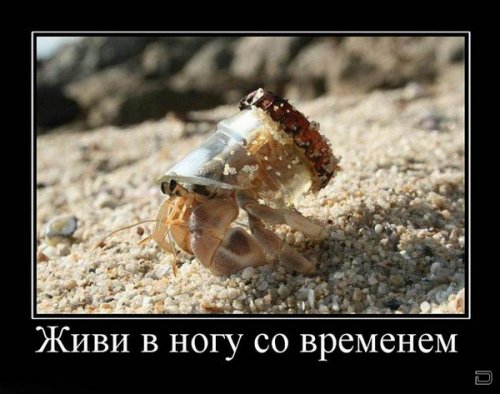 Демотиваторы на досенг