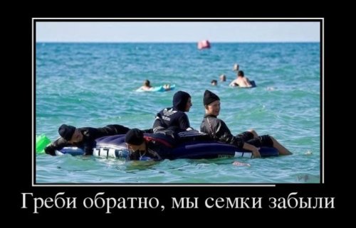 Демотиваторы на досенг