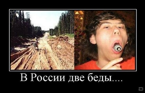 Демотиваторы на досенг