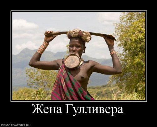 Демотиваторы про жену