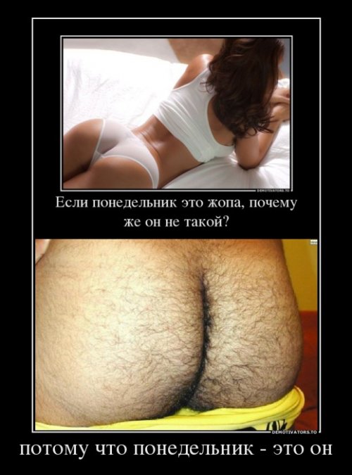 Демотиваторы про понедельник