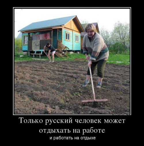 Демотиваторы про работу
