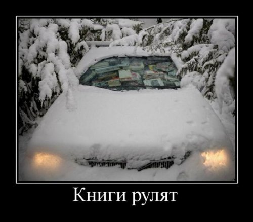 Демотиваторы на триникси