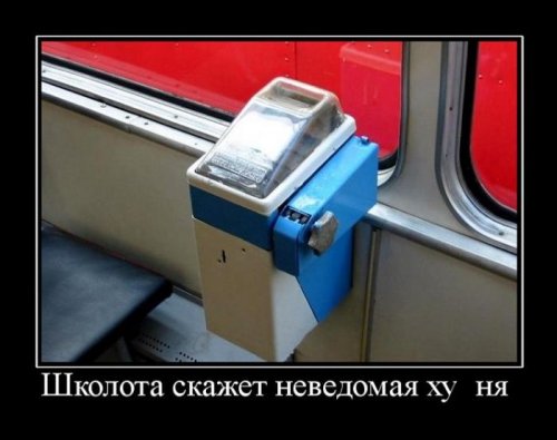 Демотиваторы на триникси