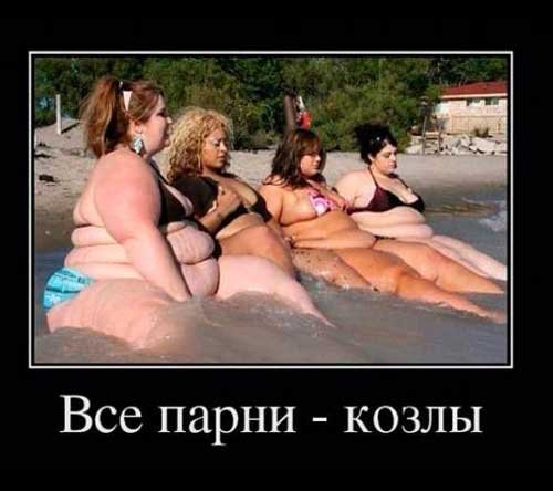 Демотиваторы про толстых девушек