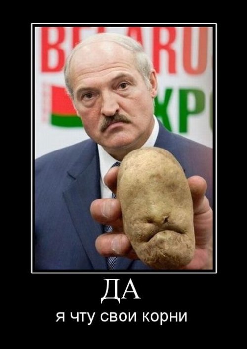 Демотиваторы про Лукашенко