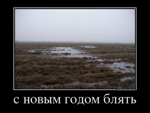 Демотиваторы про новый год