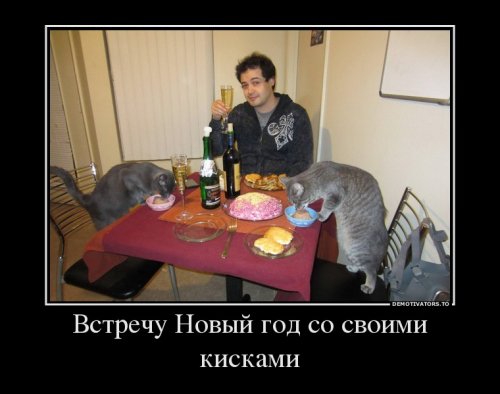 Демотиваторы про новый год
