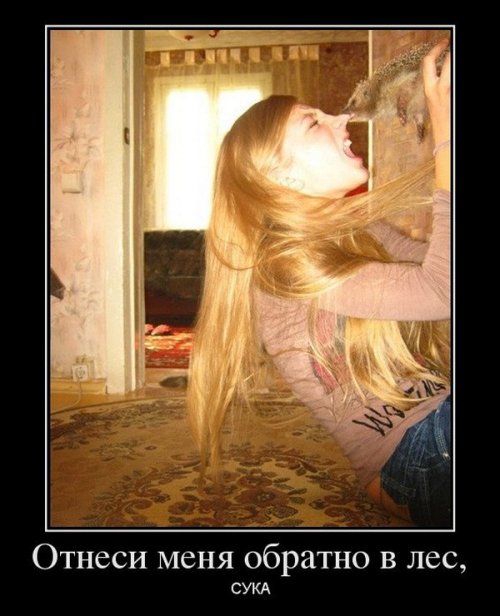 Демотиваторы про женщин
