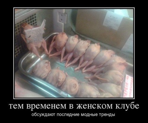 Демотиваторы про женщин