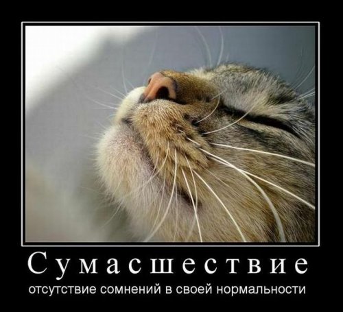 Демотиваторы со смыслом