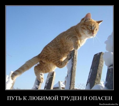 Демотиваторы со смыслом