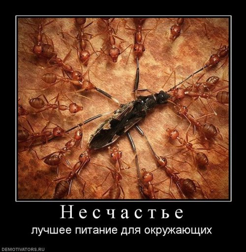 Демотиваторы со смыслом
