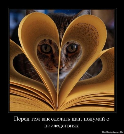 Демотиваторы со смыслом
