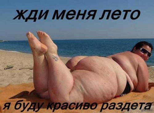 Демотиваторы про толстых девушек