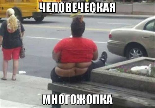 Демотиваторы про толстых девушек
