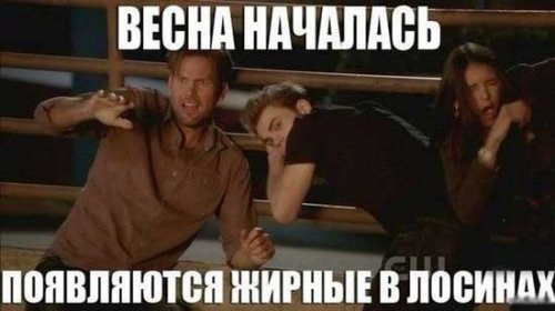 Демотиваторы про толстых девушек