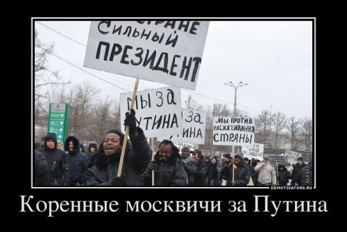 Демотиваторы про Путина