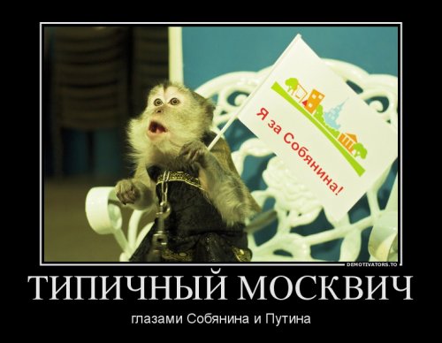 Демотиваторы про Путина
