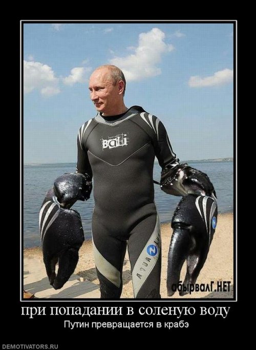 Демотиваторы про Путина