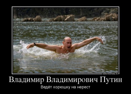 Демотиваторы про Путина