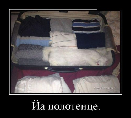Демотиваторы злобные Демотиваторы злобные