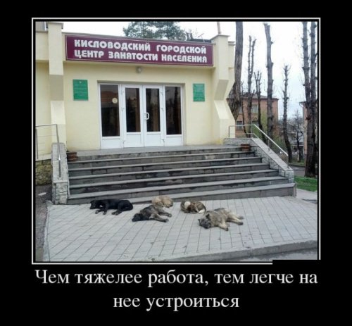 Демотиваторы злобные Демотиваторы злобные