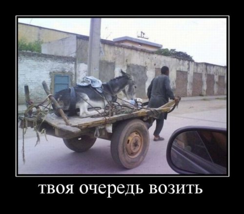 Демотиваторы злобные Демотиваторы злобные