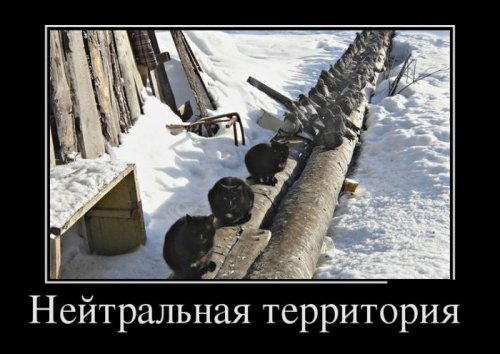 Демотиваторы злобные Демотиваторы злобные