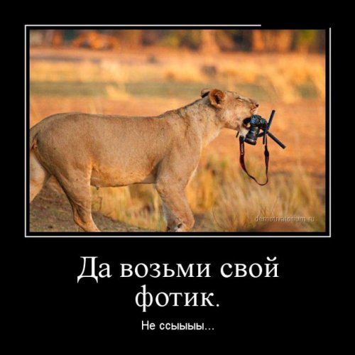 Демотиваторы злобные Демотиваторы злобные
