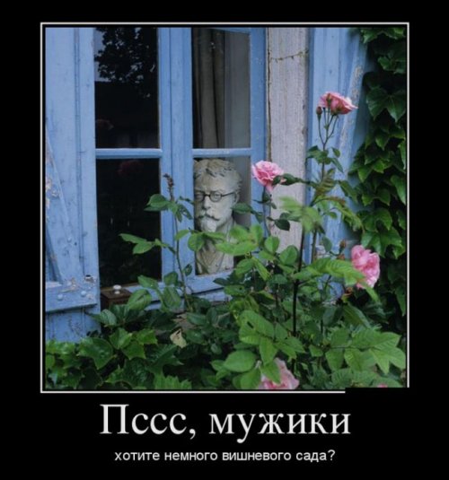 Демотиваторы от фишки нет 