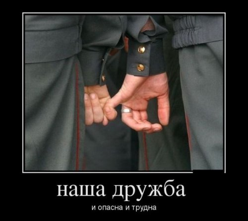 Демотиваторы от фишки нет 
