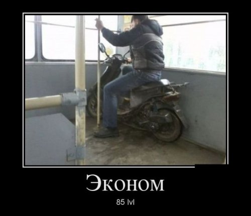Демотиваторы от фишки нет 