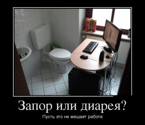 Демотиваторы загоны
