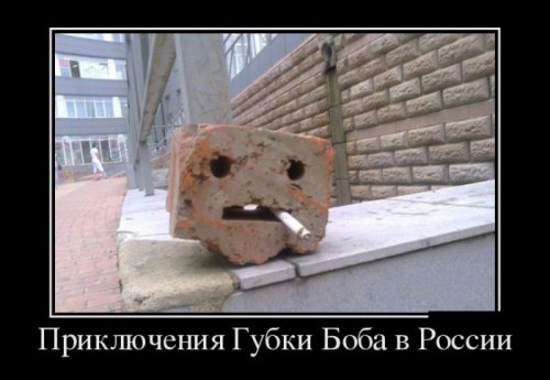Демотиваторы загоны Демотиваторы загоны