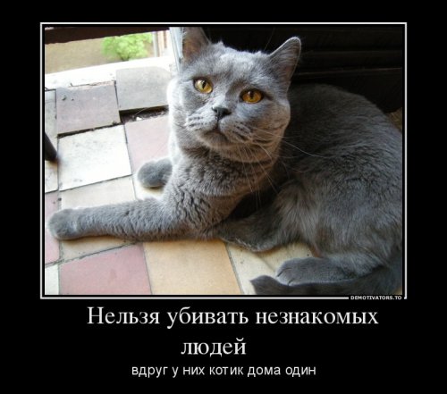 Политические демотиваторы