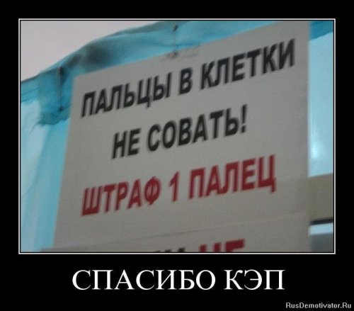 Демотиваторы капитан очевидность