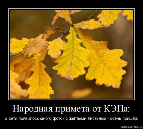 Демотиваторы капитан очевидность