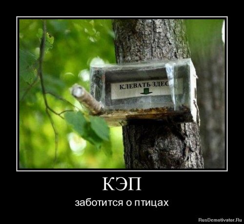 Демотиваторы капитан очевидность