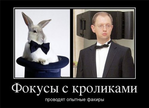 Яценюк демотиваторы