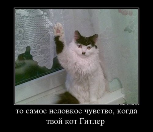 Демотиваторы про Гитлера