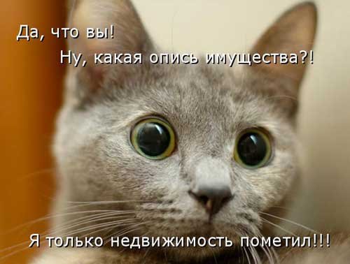 Ржачные картинки животных Ржачные картинки животных