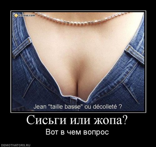 Демотиватор жопа Демотиватор жопа